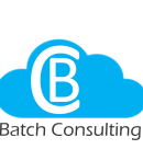 Batch Consulting just started their business!